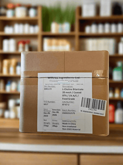 Choline 25 kg - BeBulk Nutrition